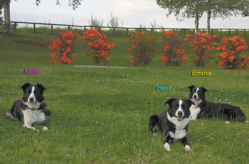 d0069235_234896.gif