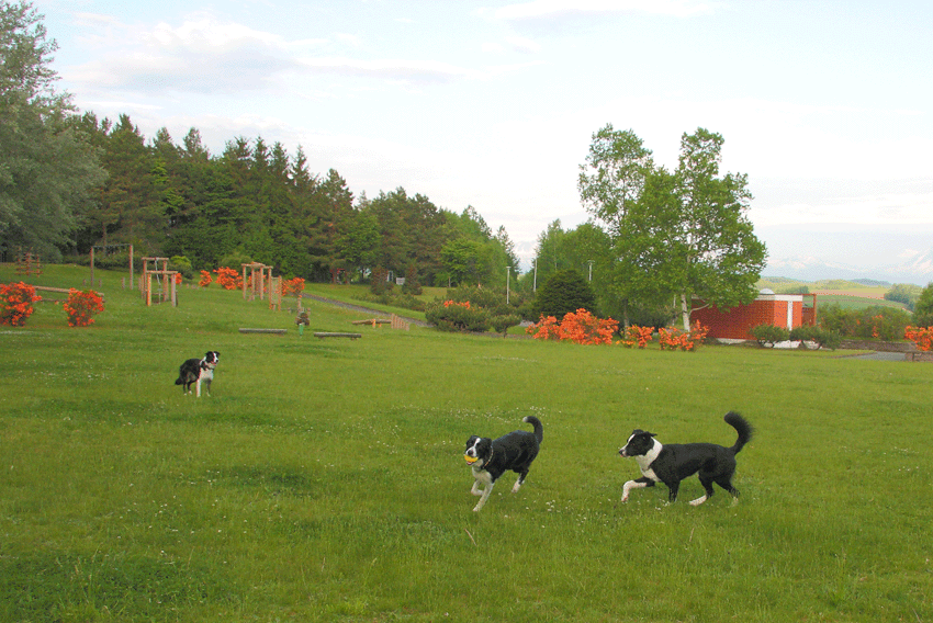 d0069235_23532135.gif