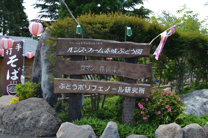 e0228938_20564888.jpg