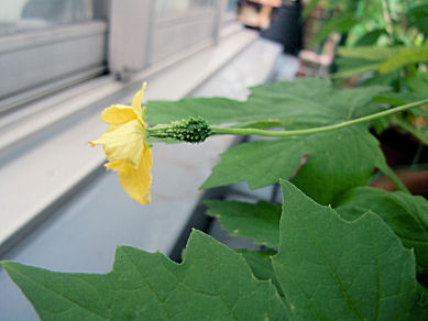 c0033145_9271149.jpg