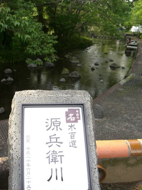 f0000262_15422671.jpg