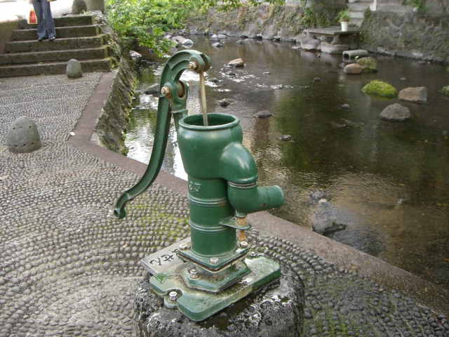 f0000262_15444560.jpg