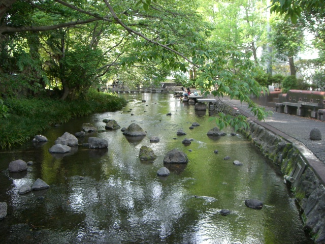 f0000262_15475425.jpg