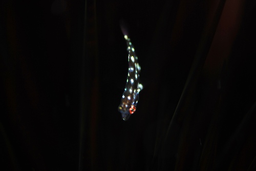 c0181073_2243113.jpg