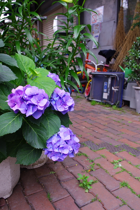 b0120979_20318100.jpg