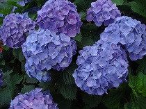 a0142083_22203169.jpg