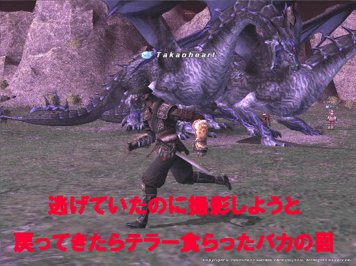 c0037384_10531962.gif