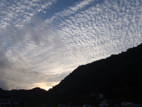 f0135385_19475416.jpg