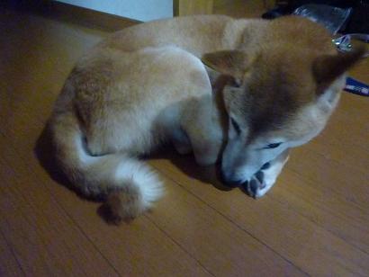 c0123890_22313191.jpg