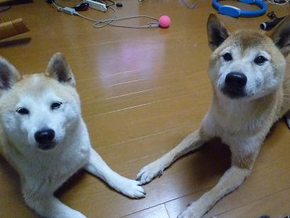c0123890_22434799.jpg