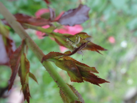 f0209394_01859.jpg