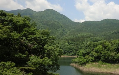 a0138198_11334842.jpg