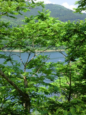 a0138198_11403515.jpg