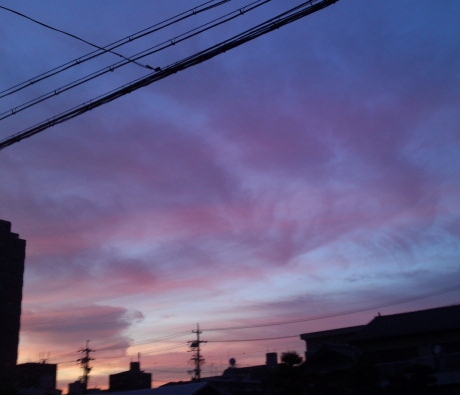 a0031000_21171224.jpg