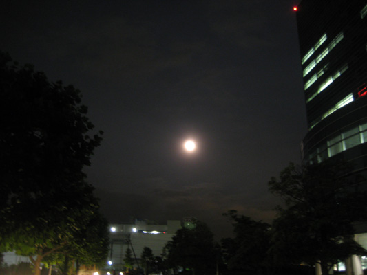 b0097200_2339577.jpg