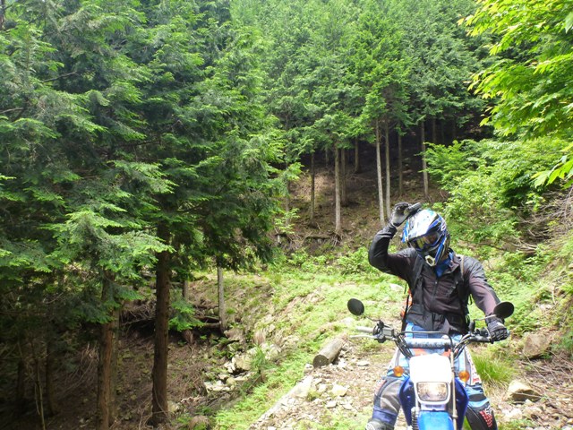 b0164002_123724.jpg