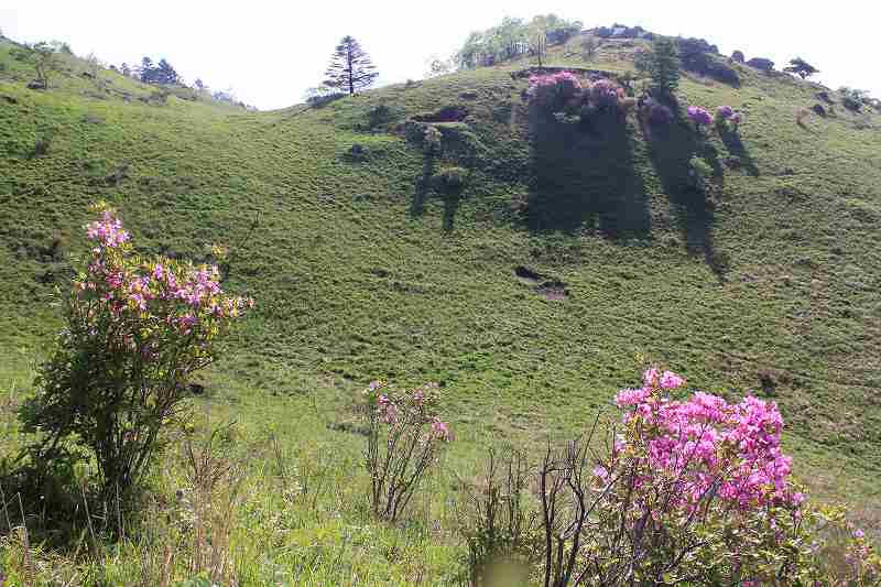 a0188405_1225148.jpg