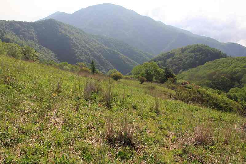 a0188405_12301468.jpg