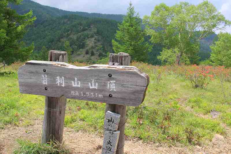 a0188405_13192771.jpg