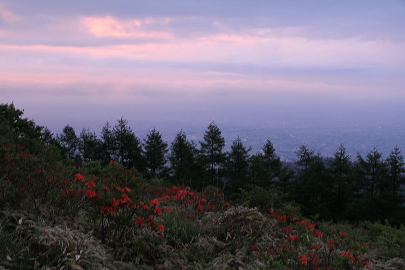 a0188405_22422392.jpg