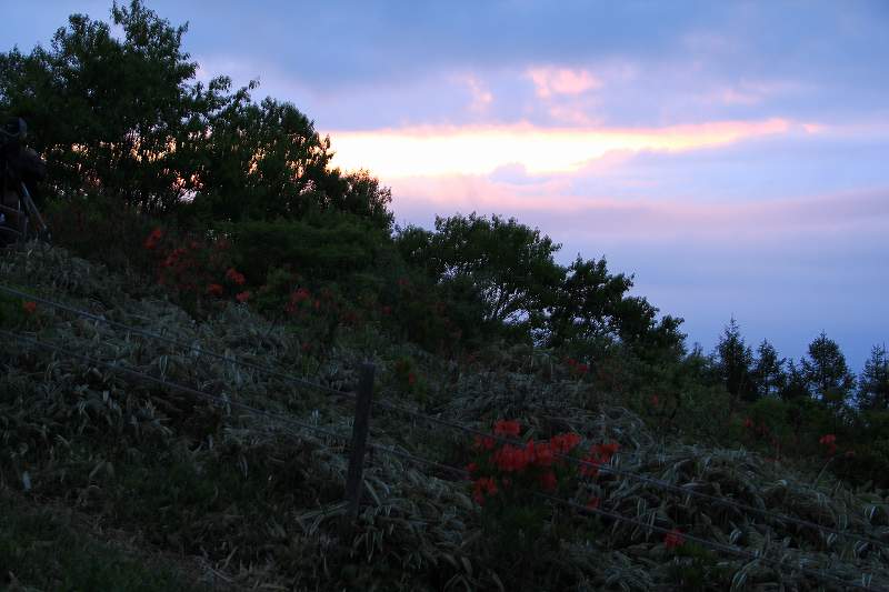 a0188405_2242931.jpg