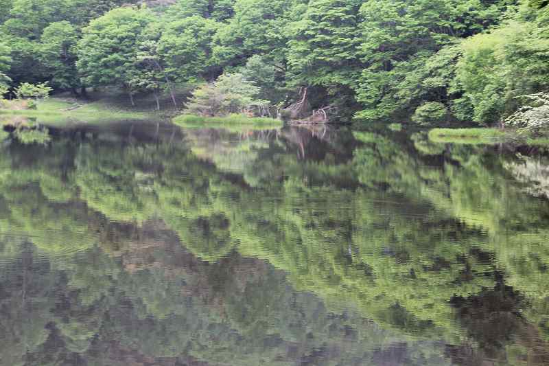 a0188405_224625.jpg
