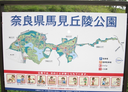 e0146907_20482237.jpg