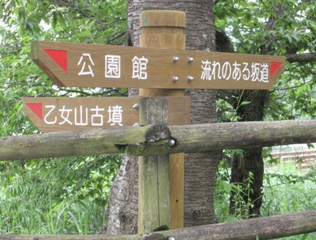e0146907_2052998.jpg