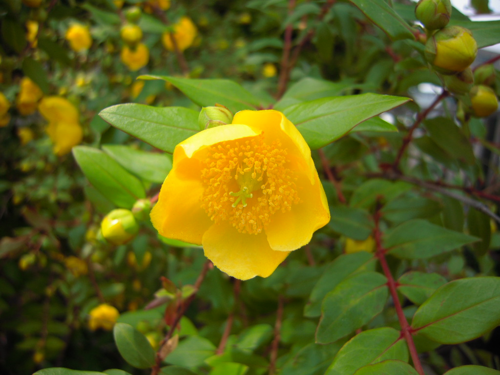 c0132608_1674073.jpg