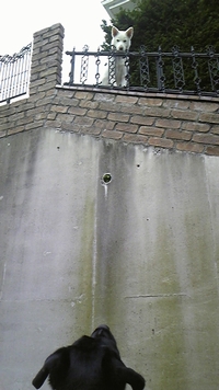 d0150013_1921063.jpg