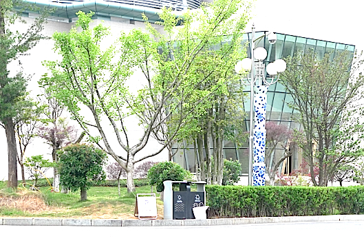 e0157816_9215267.jpg