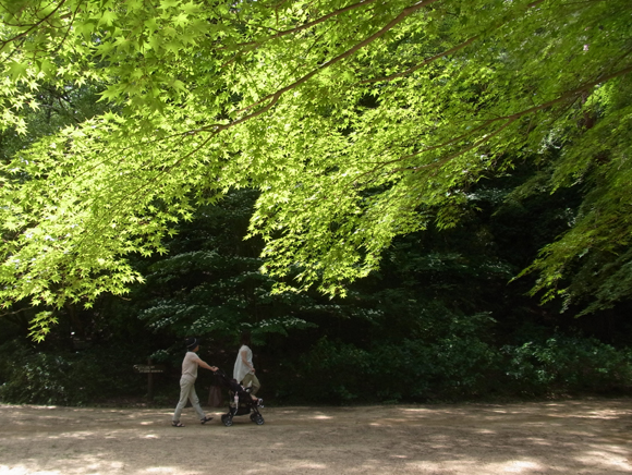 e0083517_1153016.jpg
