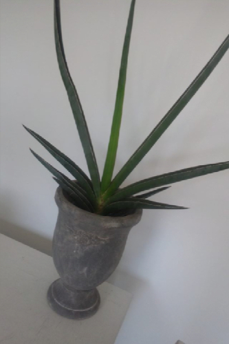 e0123920_2041181.jpg