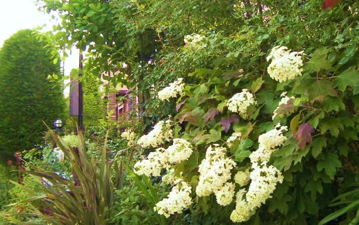 c0204121_918331.jpg