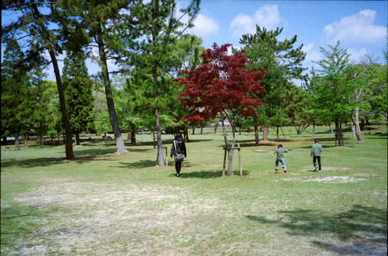 a0145825_23101798.jpg