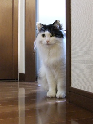 a0198826_22494430.jpg