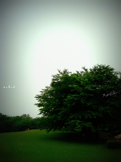 d0231029_23131513.jpg