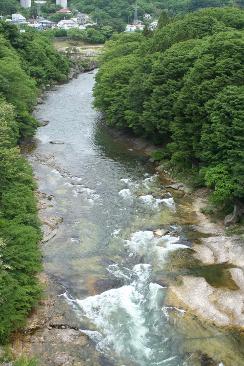 b0085331_14225083.jpg