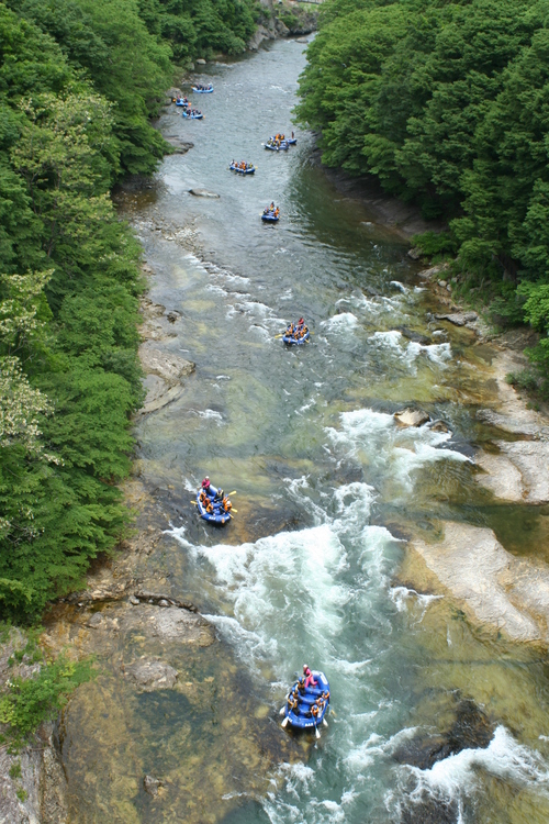 b0085331_14244276.jpg