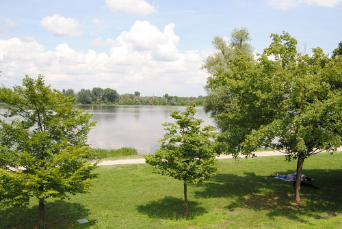 e0203331_0135493.jpg