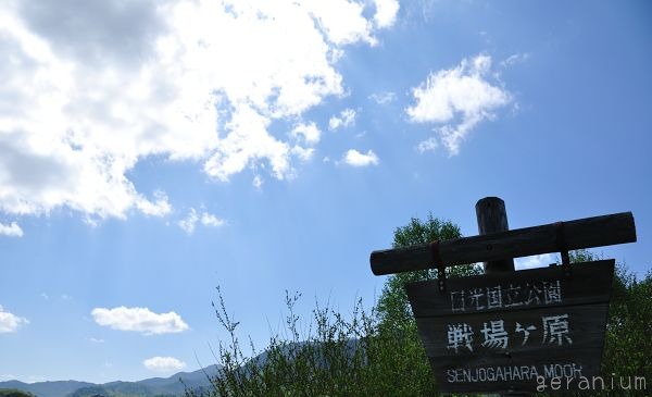 c0133533_23271689.jpg