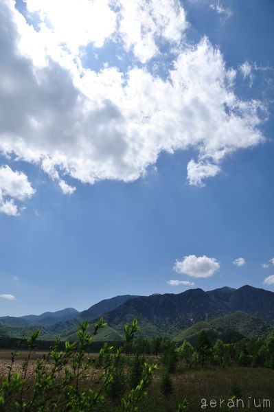 c0133533_2328622.jpg