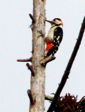 c0204740_2152642.jpg