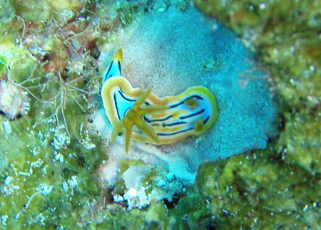 f0014842_18512747.jpg