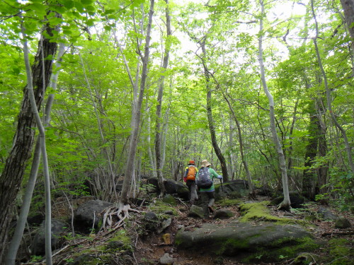 c0179351_13402238.jpg