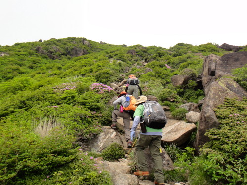 c0179351_13515729.jpg