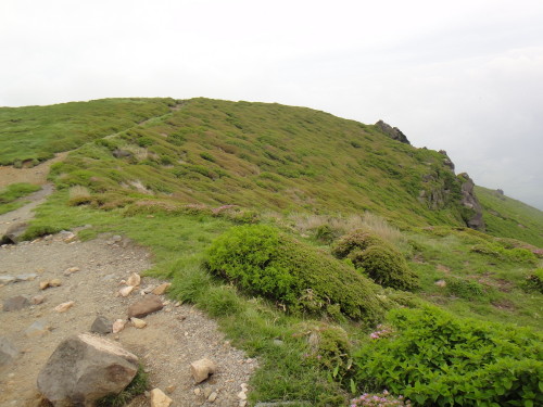 c0179351_13525296.jpg