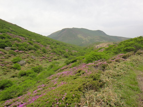 c0179351_13561957.jpg