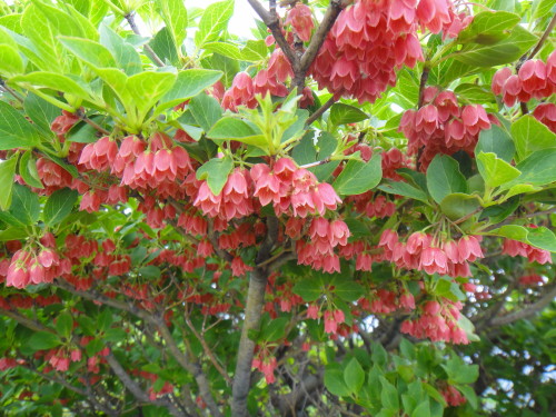 c0179351_135744.jpg