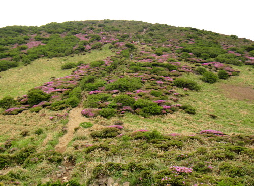 c0179351_13593182.jpg